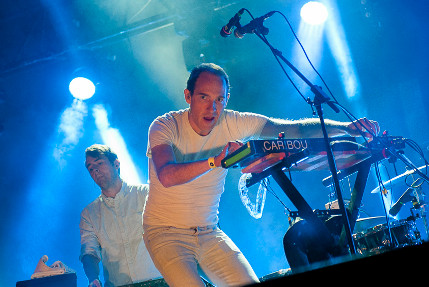 the wombats